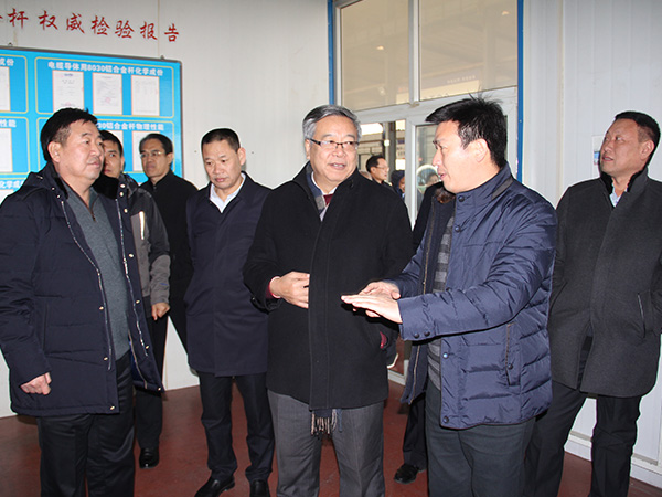 2018年1月11日，，，，，邢台市人大常委会副主任周世伟带领省、市人大代表集中视察第五组到恒峰g22线缆集团进行视察
